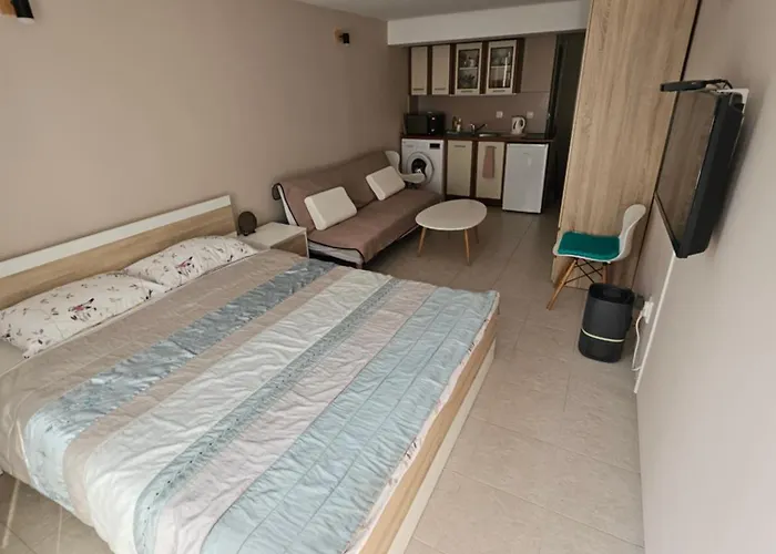 Treti Mart North 公寓 普里莫尔斯科